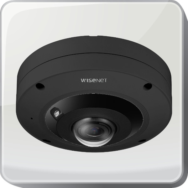 IP Hanwha fisheye camera's