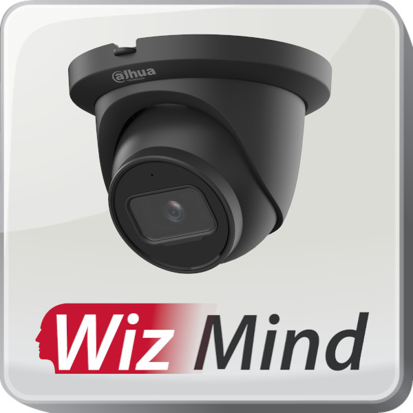 IP Dahua WizMind dome camera