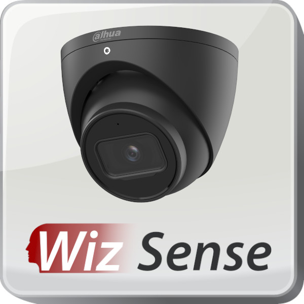 IP Dahua WizSense dome camera