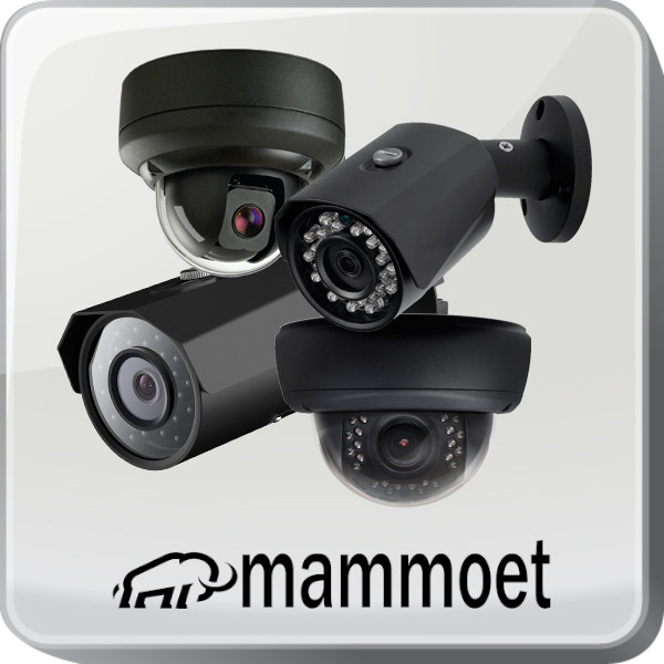 IP Mammoet camera