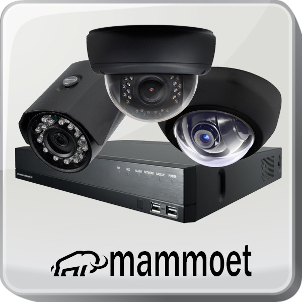 IP Mammoet camerasysteem