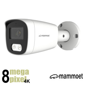 Aanbieding: Mammoet 8MP/4K IP camera - slimme detectie - 25 m nachtzicht - SD slot - 2,8mm| MAMB2