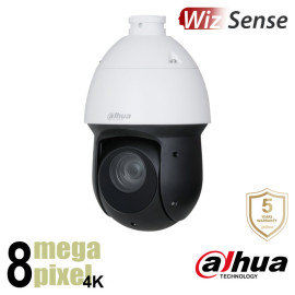 Dahua 4K IP speeddome - 25x zoom - Starlight - WizSense - SD49825GB-HNR