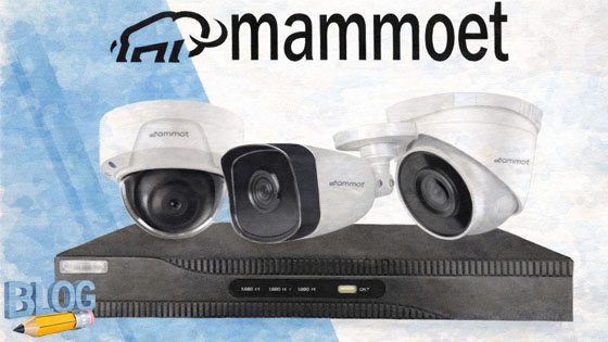 Eigen merk beveiligingscamera's Mammoet - Camerashop24