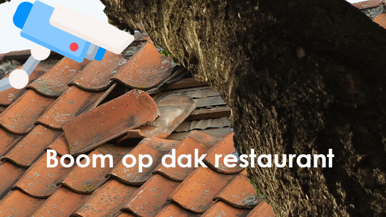 Bewakingscamera filmt: boom op dak restaurant