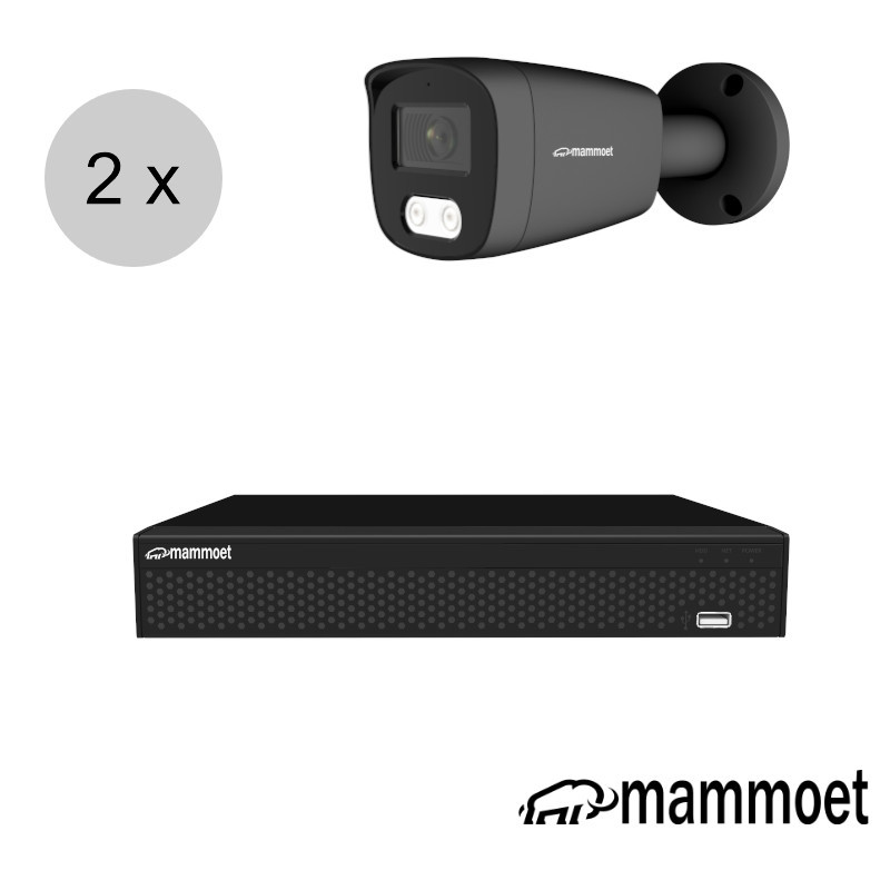 Aanbieding: Van € 525,- naar 369,95 Mammoet 4K IP camerasysteem - 2 camera's - slimme bewegingsdetectie - 25m nachtzicht | ips28mb2