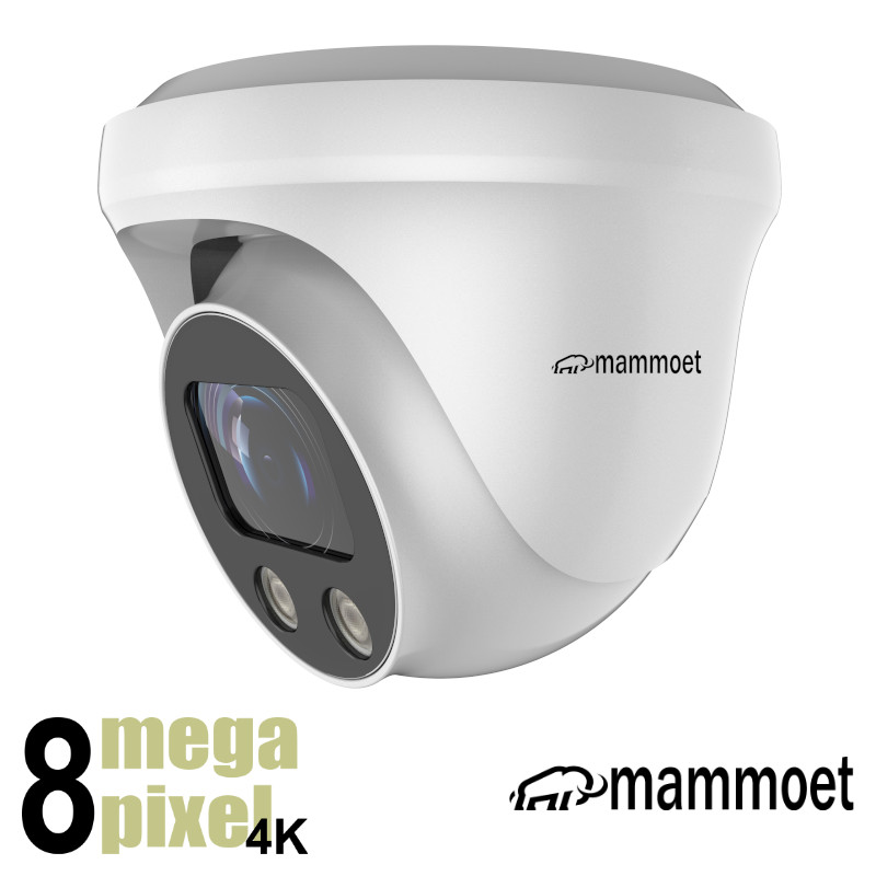 Aanbieding: Mammoet 8MP/4K IP camera - slimme detectie - motorzoom - 25m nachtzicht | MAMDM1