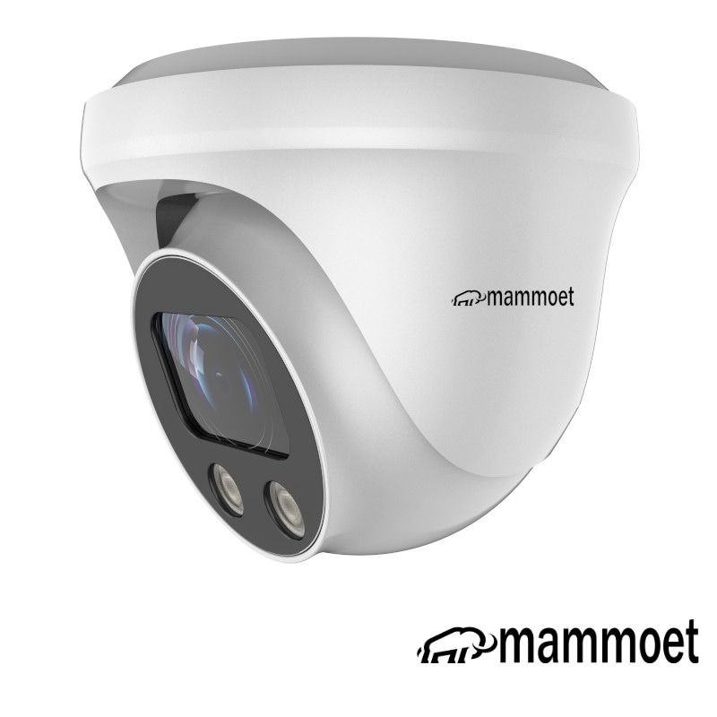 2e kans: Mammoet 8MP/4K IP dome camera - slimme detectie - motorzoom - 25m nachtzicht | MAMDM1K