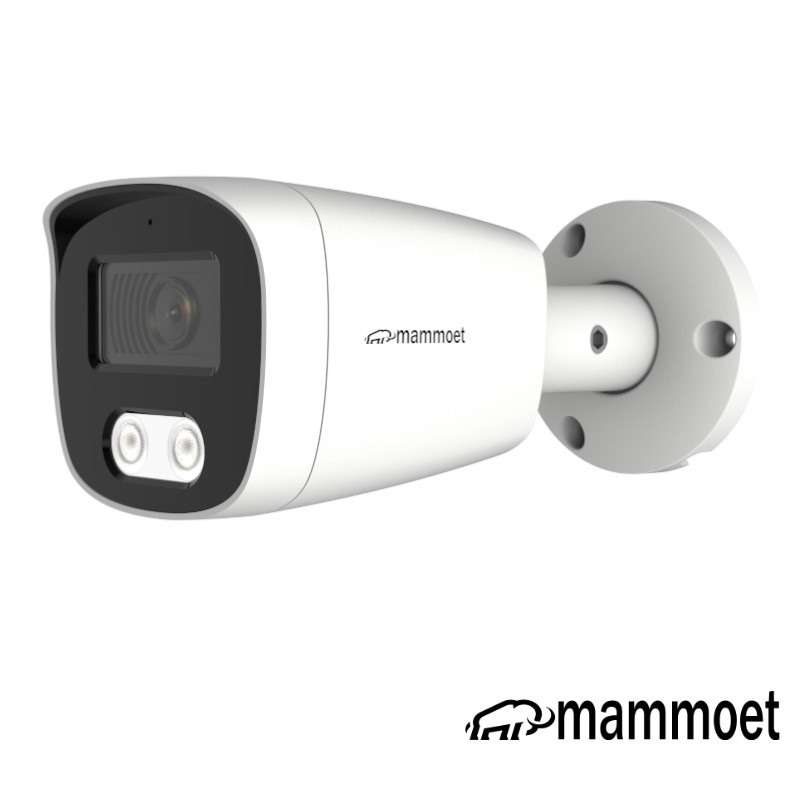 Aanbieding: Mammoet 8MP/4K IP camera - slimme detectie - 25 m nachtzicht - SD slot - 2,8mm| MAMB2