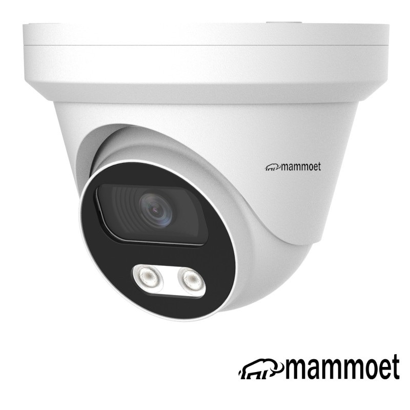 Aanbieding: Mammoet 8MP/4K IP camera - slimme detectie - 25m nachtzicht - SD slot- 2,8mm | MAMD2