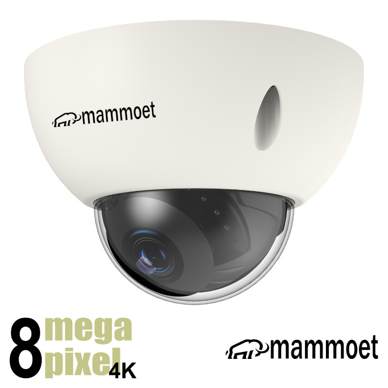 Mammoet IP beveiligingscamera's