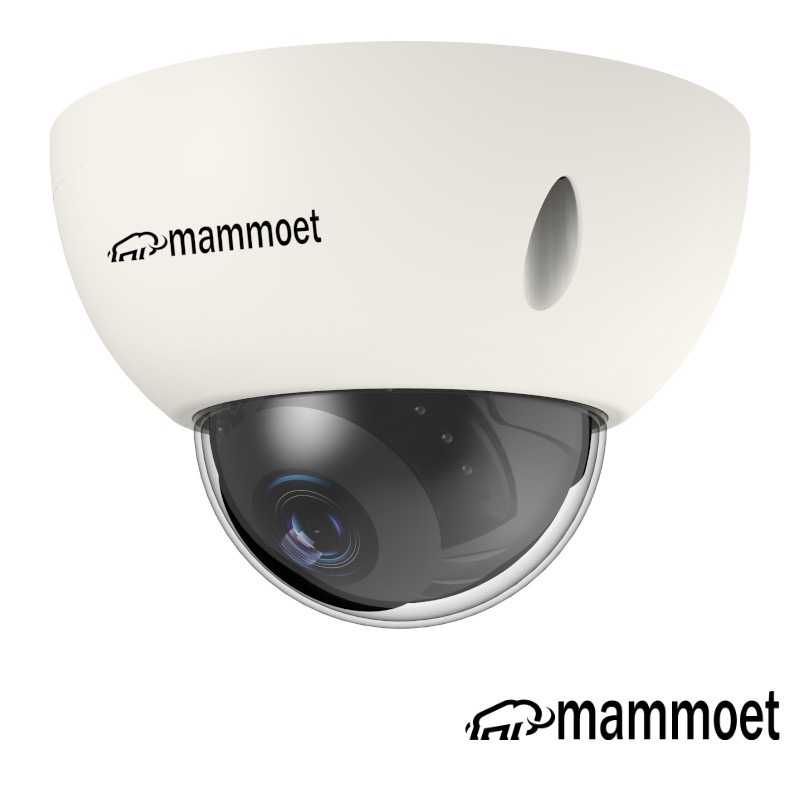 Aanbieding: Mammoet 8MP/4K IP camera - slimme detectie - 20 m nachtzicht - 2,8mm lens| MAMG2