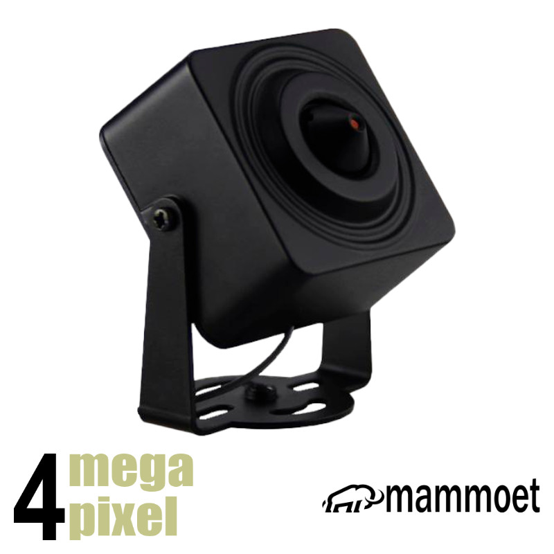 Mammoet 4MP mini camera - ingebouwde microfoon - PoE - Microfoon - SD kaart slot | MAMM1