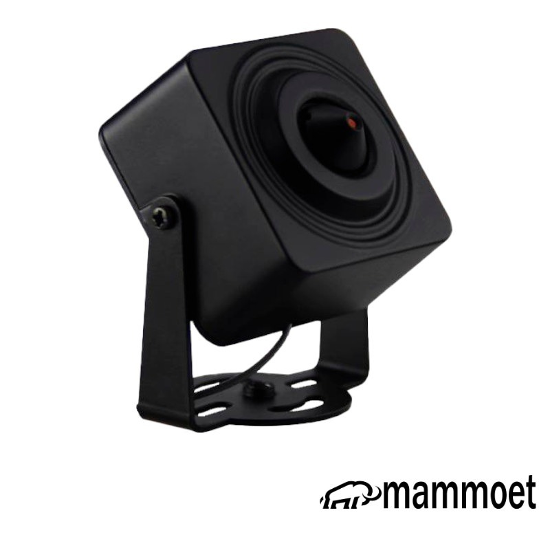 Mammoet 4MP mini camera - ingebouwde microfoon - PoE - Microfoon - SD kaart slot | MAMM1