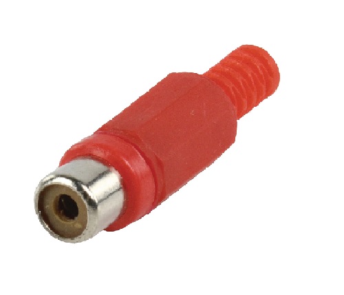 RCA tulp female rood - rca9