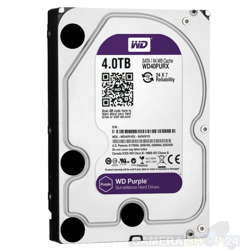 4000gb Western Digital Purple Sata - ata10